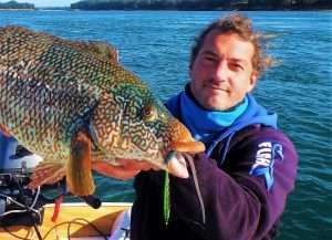 Métal spot et texan : le pattern gagnant !