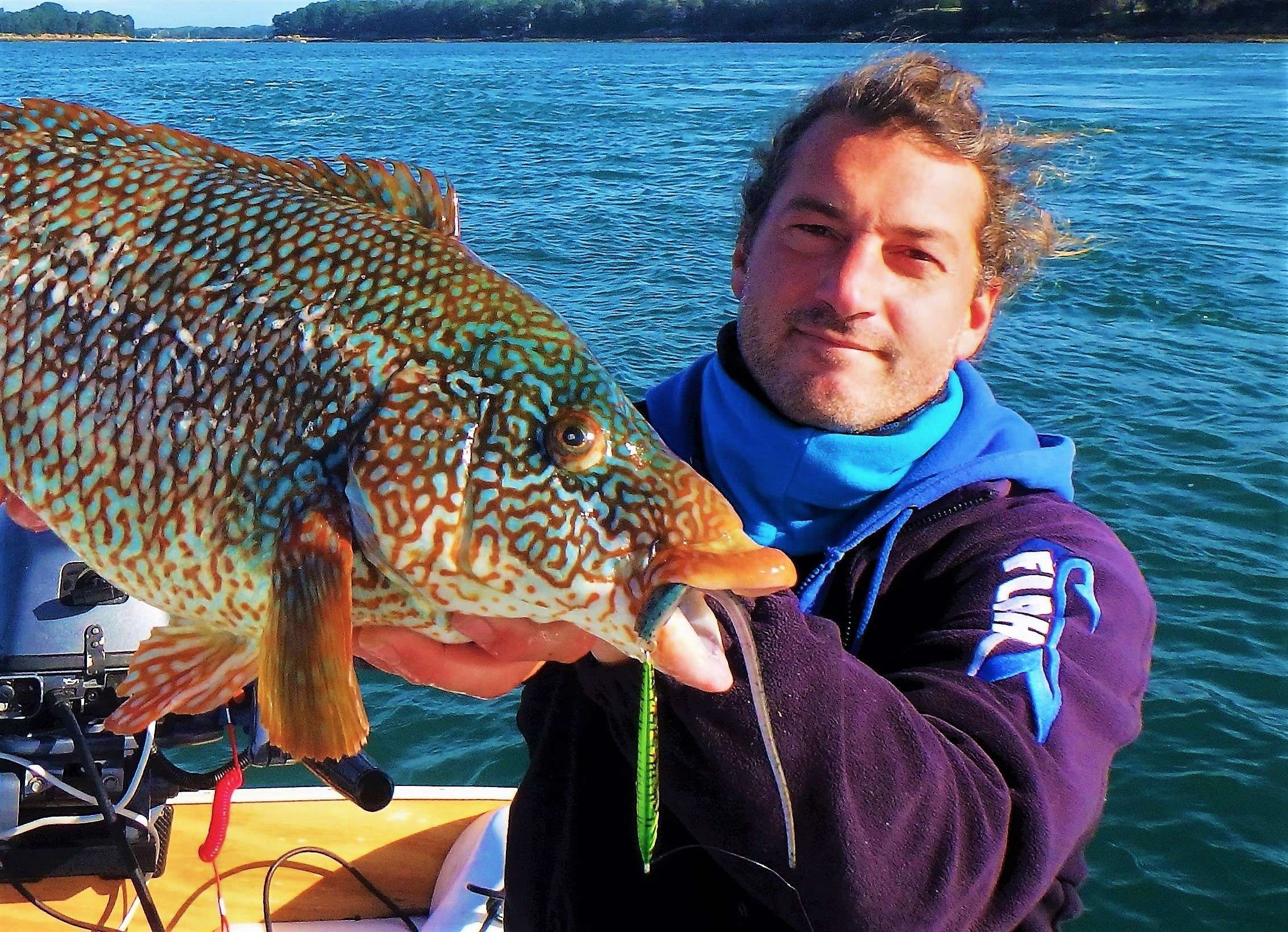 Métal spot et texan : le pattern gagnant !