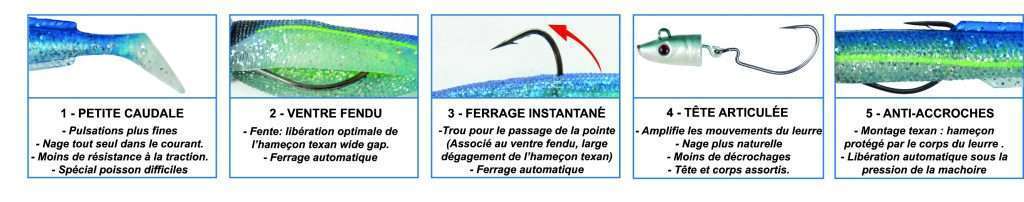 Les caractéristiques du Blue Equille Les caractéristiques du Blue Equille