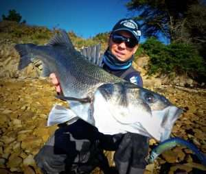 Blue Equille : une valeur sure incontournable !