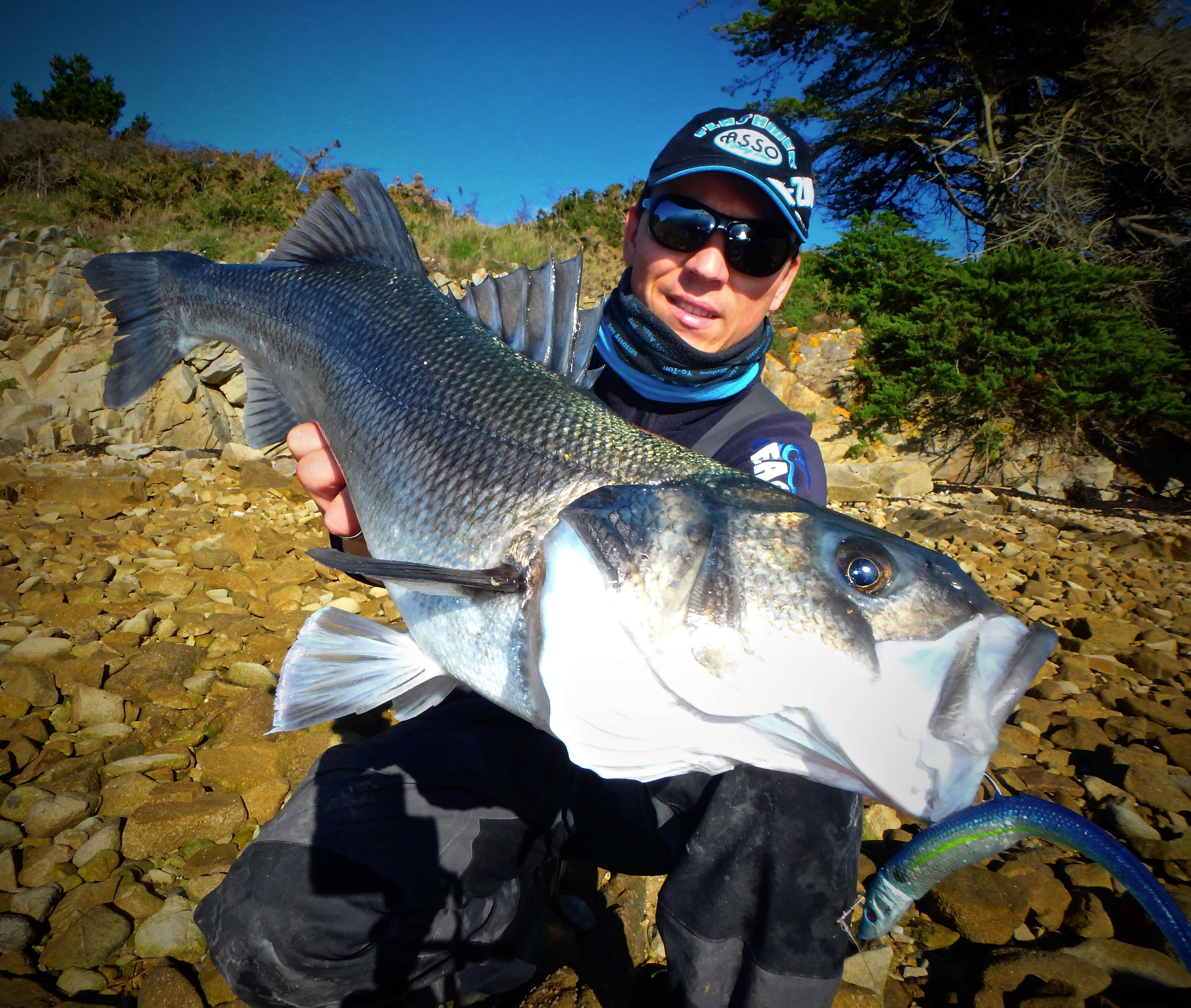 Blue Equille : une valeur sure incontournable !