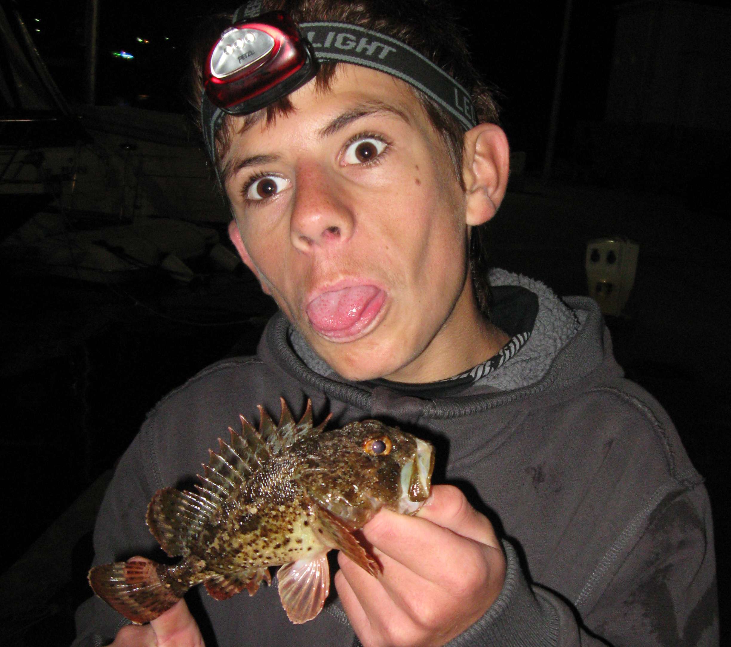 Rockfishing aux leurres souples