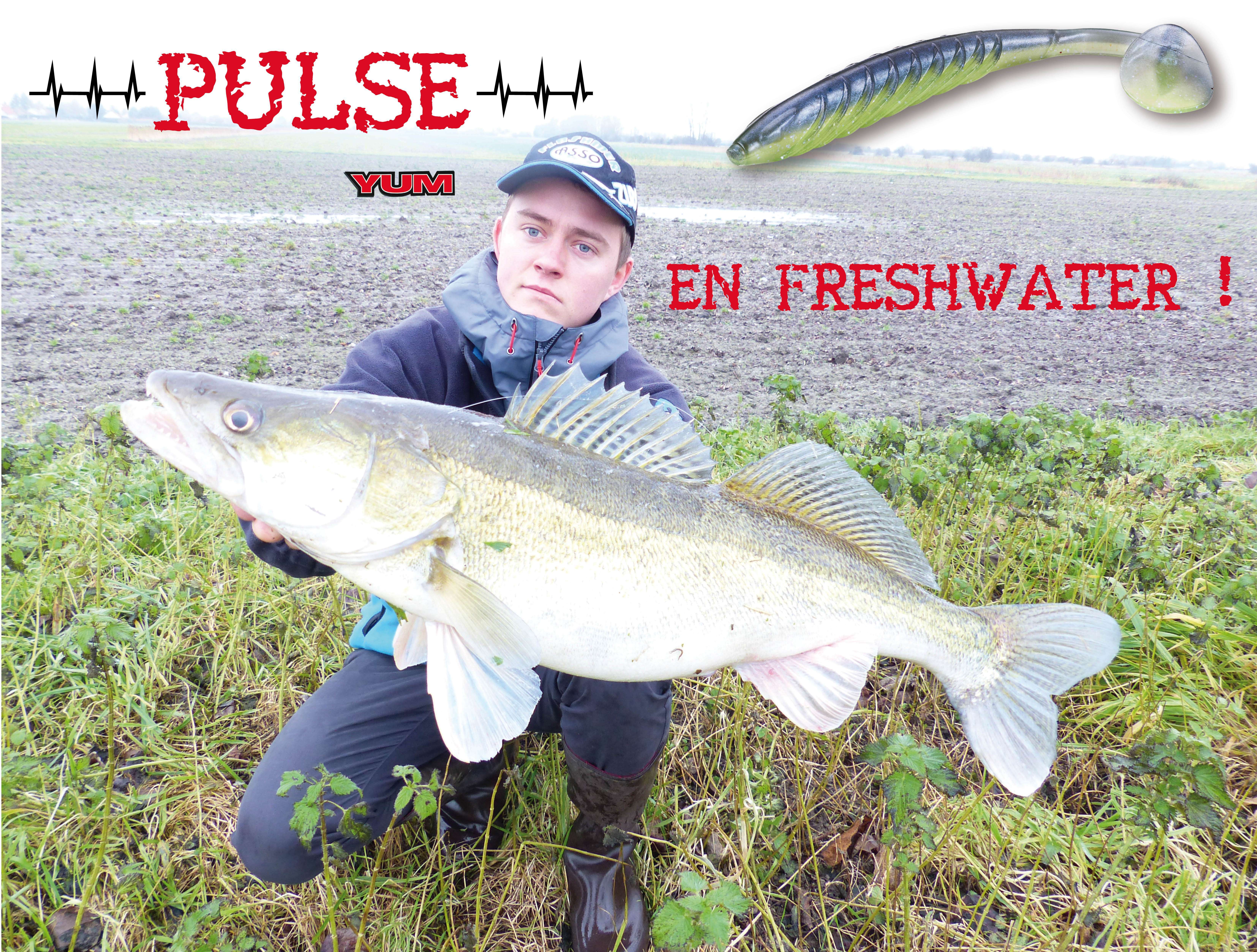 Pulse Yum en freshwater