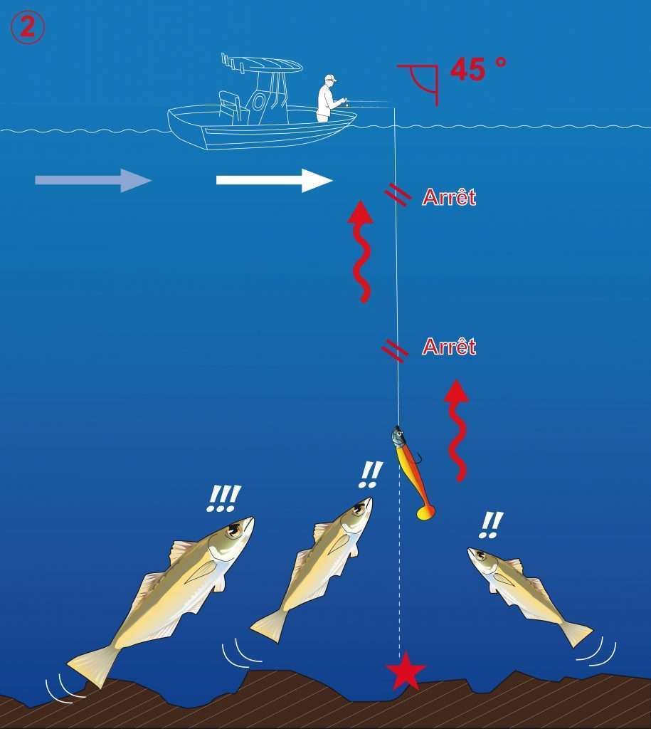 …Afin d’être parfaitement à la verticale de votre leurre quand vous commencez votre récupération …Afin d’être parfaitement à la verticale de votre leurre quand vous commencez votre récupération