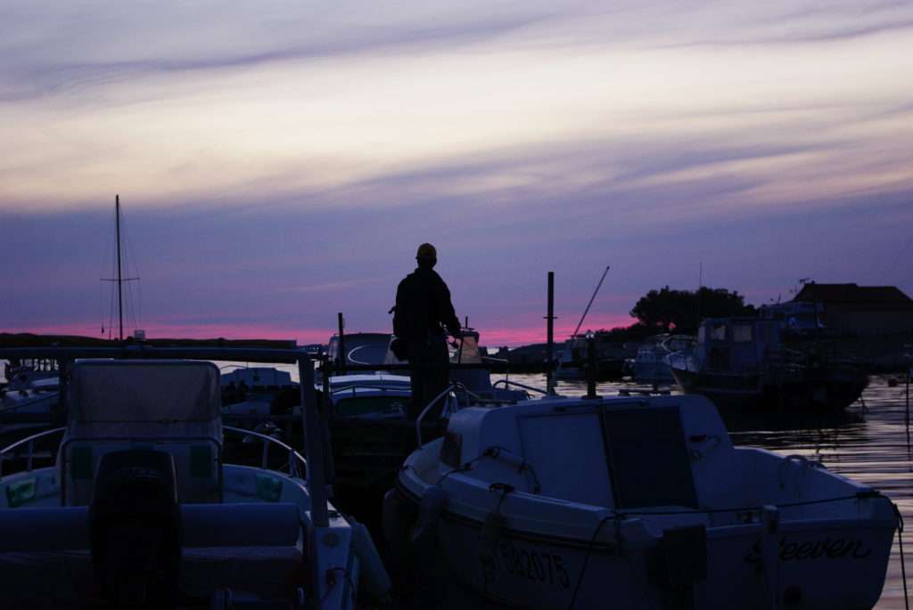 La pêche en dandine au jig d’un ponton est très efficace ! La pêche en dandine au jig d’un ponton est très efficace !