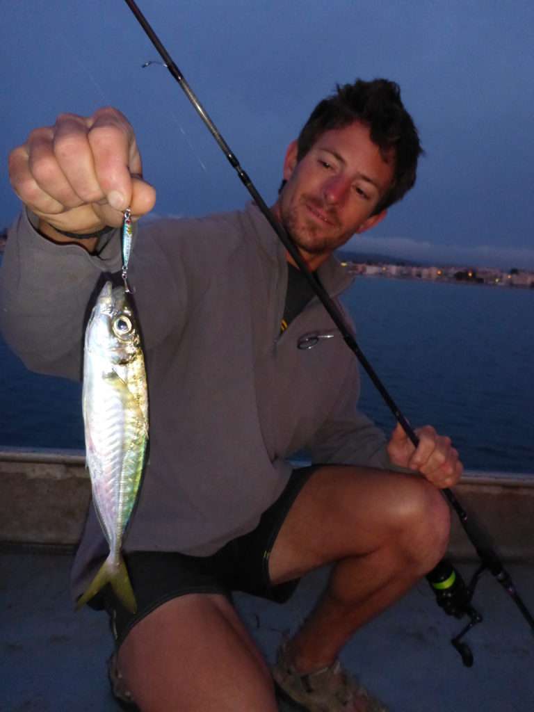 Un beau severeau offre un combat très intéressant avec un ensemble rockfishing ! 