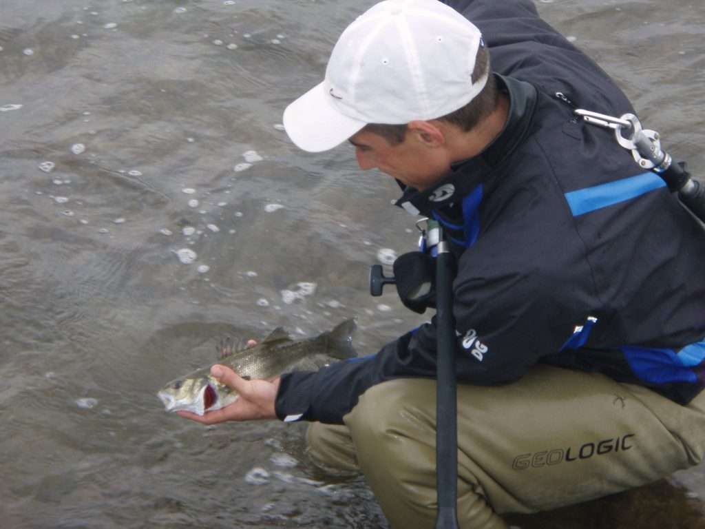 Libérer les juvéniles doit être systématique !