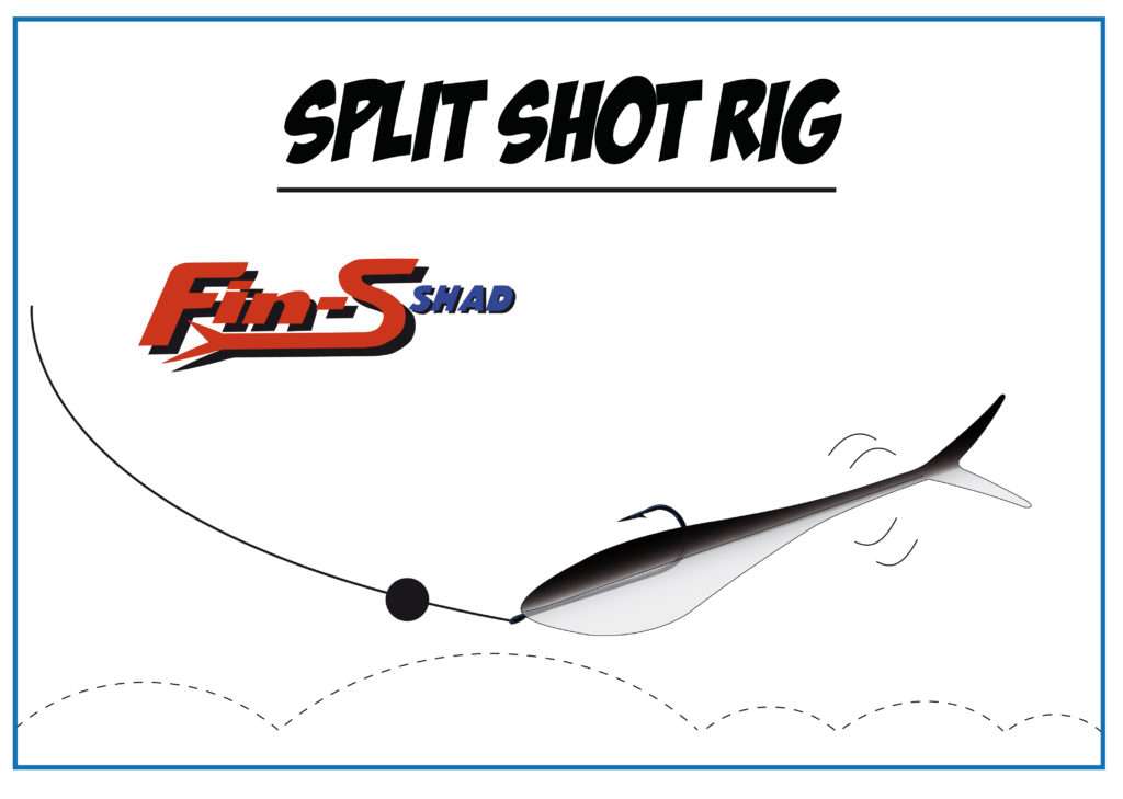 Fin's Shad Lunker City en montage split shot