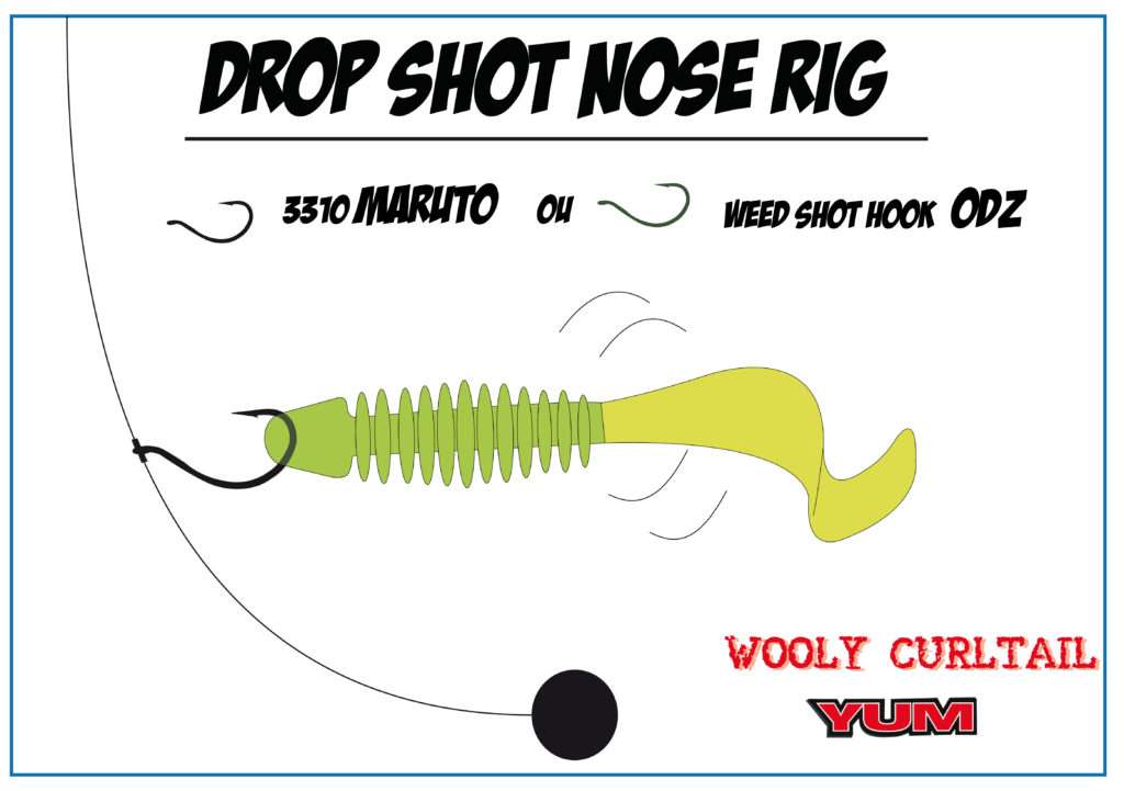Drop shot nose rig avec un Wooly Curltail Bass Assassin Drop shot nose rig avec un Wooly Curltail Bass Assassin