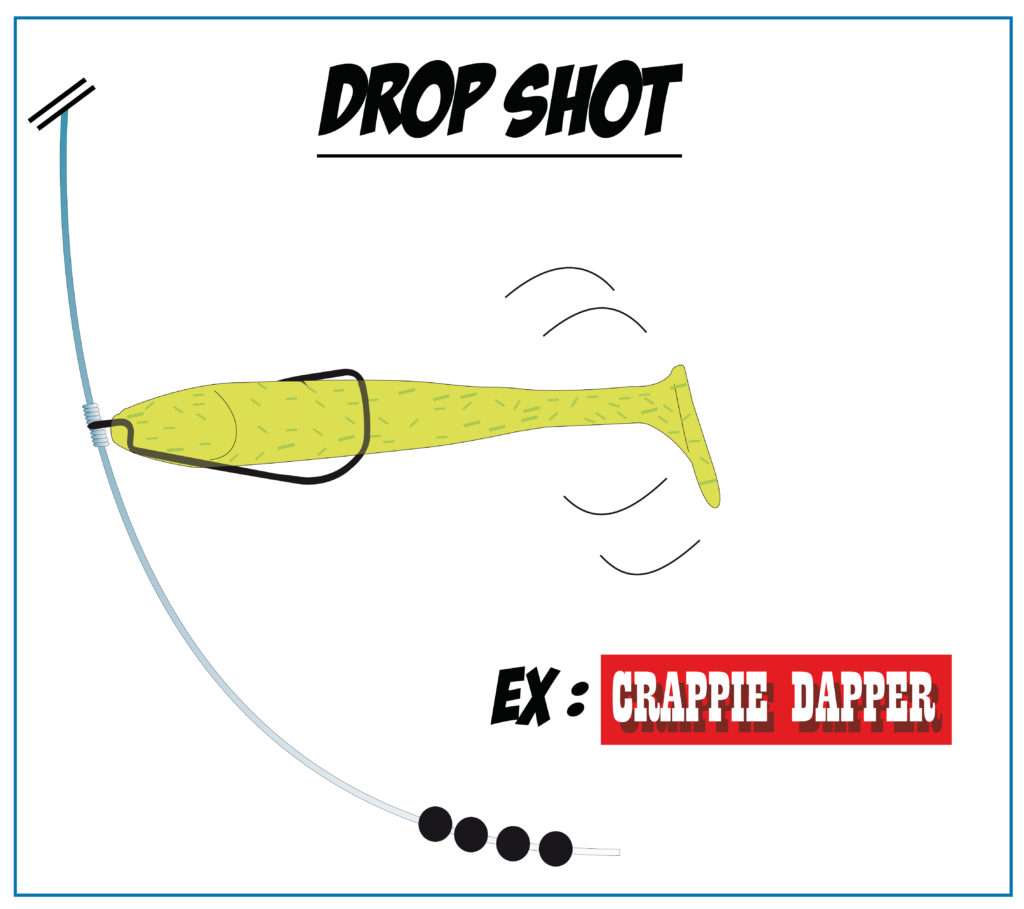 Drop shot texas rig avec un Crappie Dapper Bass Assassin Drop shot texas rig avec un Crappie Dapper Bass Assassin