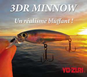 3DR Minnow Yo-Zuri : un jerkbait au réalisme bluffant !