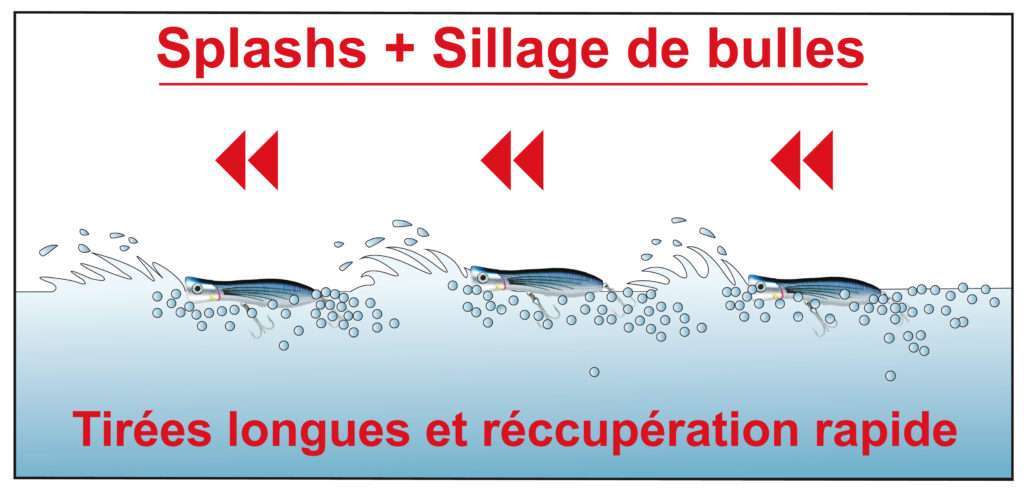 Animation du Bull Pop Yo-Zuri 