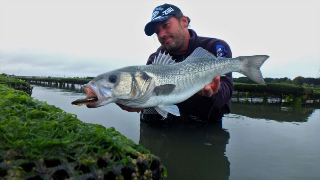 Bar pris au 3DR Pencil dans un parc à coquillages