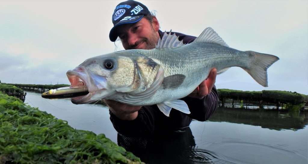 Bar pris au 3DR Pencil dans un parc à coquillages