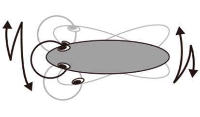 Nage du 3DR Wake Bait en wide wobbling