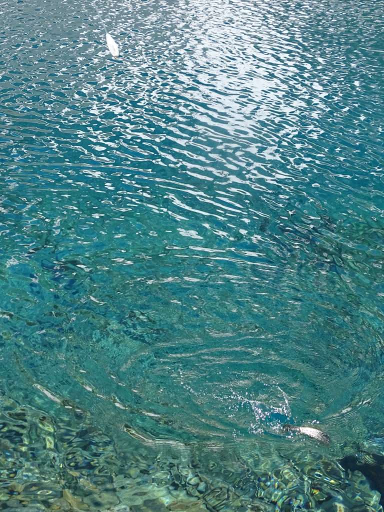 Combat d’un cristivomer pris à la bombette