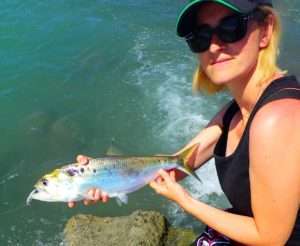 Crappie Dapper : le mini shad au top !