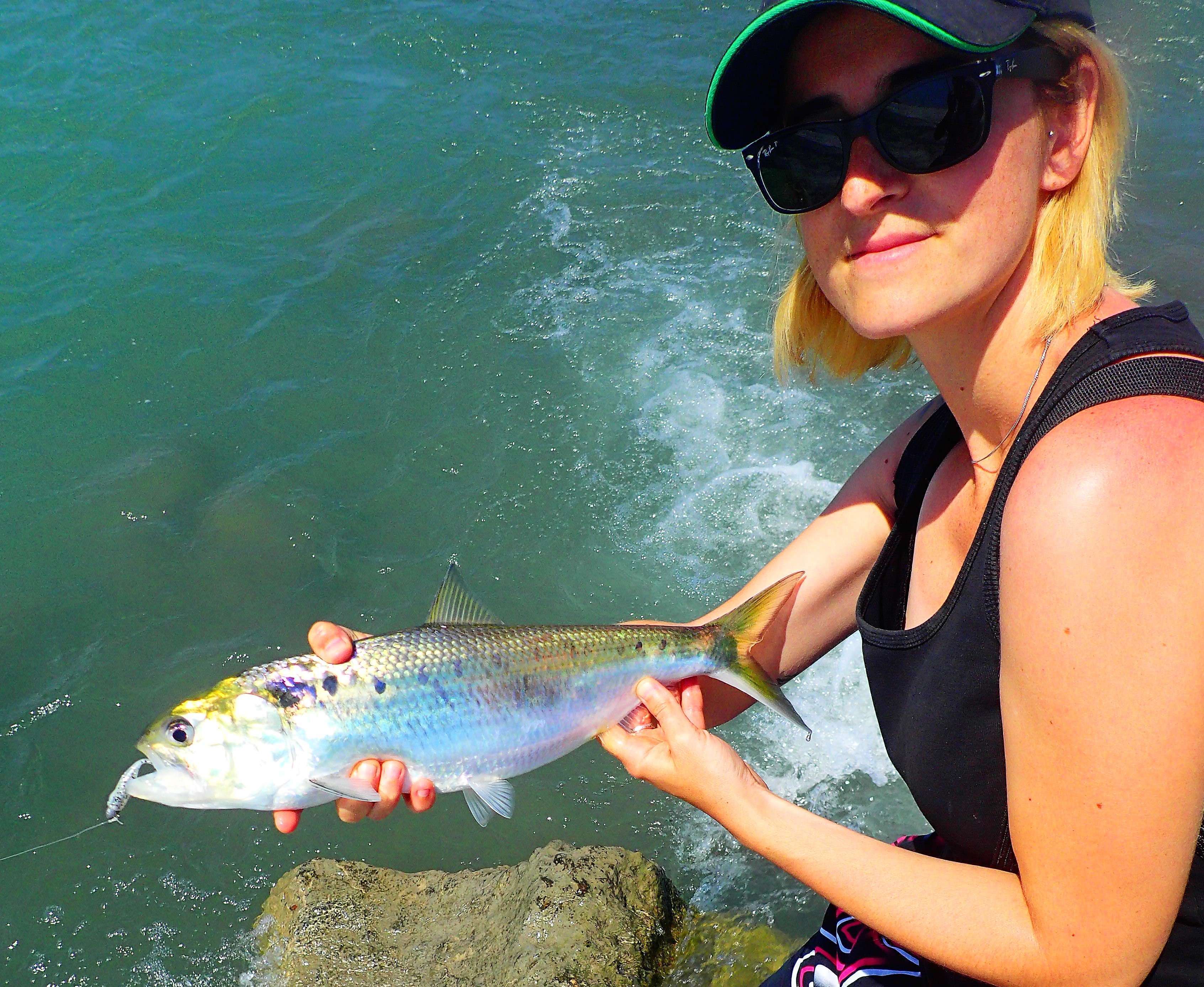 Crappie Dapper : le mini shad au top !