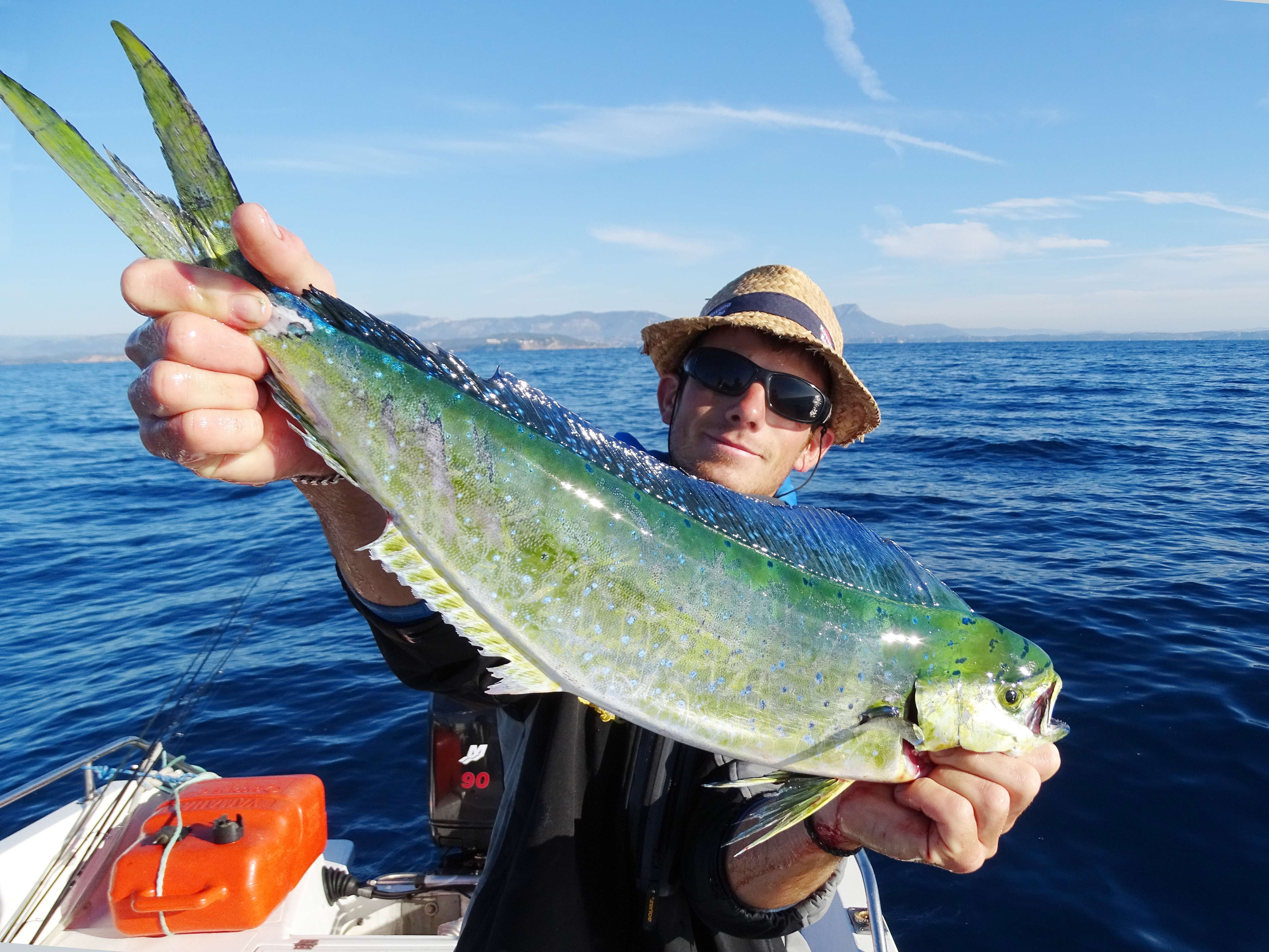 La coryphène : un poisson exotique en France !