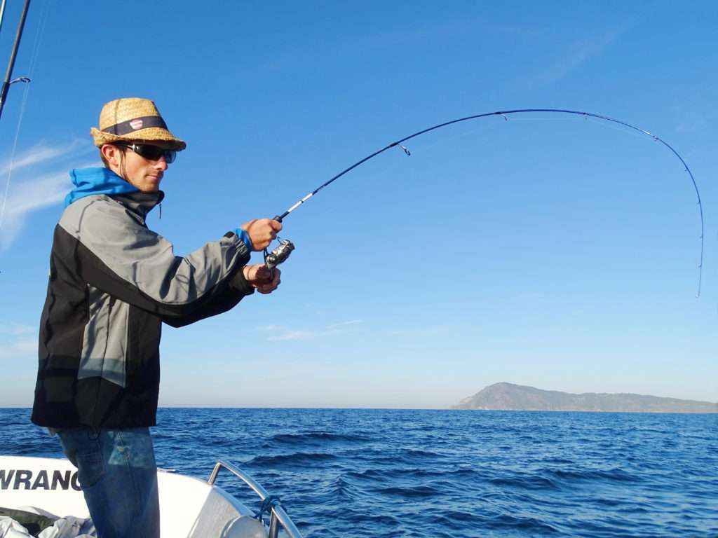 La coryphène offre des combats spectaculaires! 