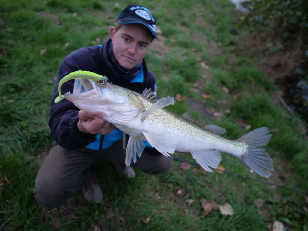 Louis Cache avec un superbe sandre pris au Pulse coloris Sinful