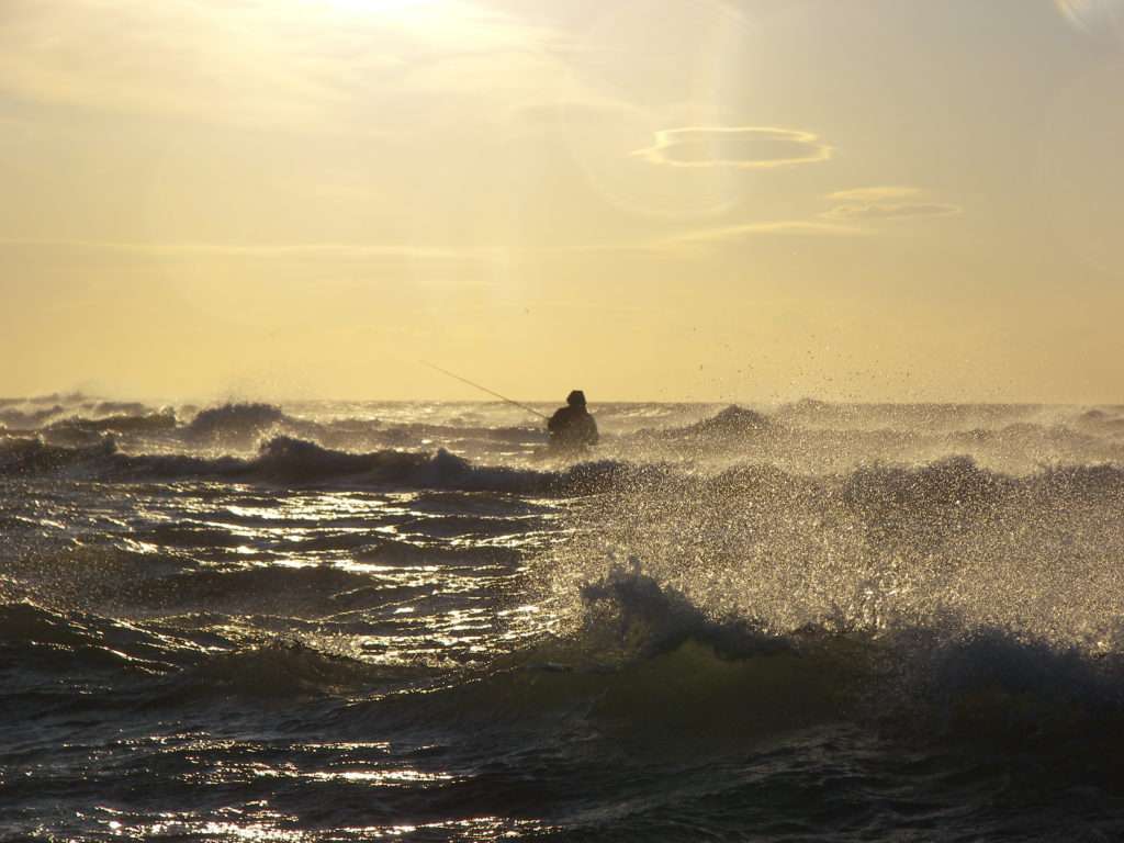 Le Meiji est parfait pour pêcher dans l’écume et les vagues ! 