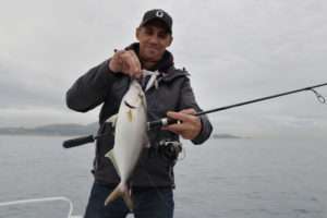 Métal Spot et palette : un combo hyper efficace !