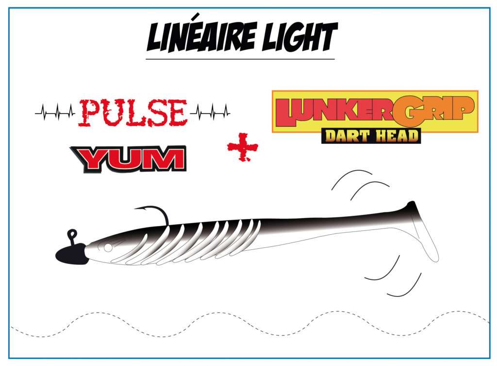 Pulse Yum et Dart Head Lunker City pour le linéaire Pulse Yum et Dart Head Lunker City pour le linéaire