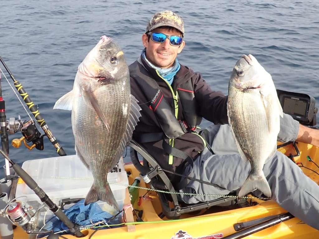 Deux magnifiques daurades prises au tenya par Etienne – membre du team Flashmer