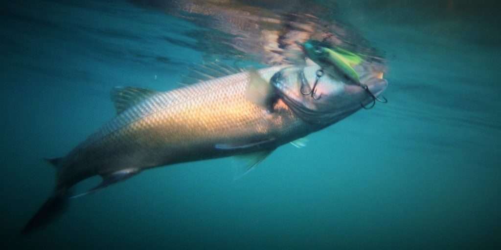 Bar au Rattlin' Spook