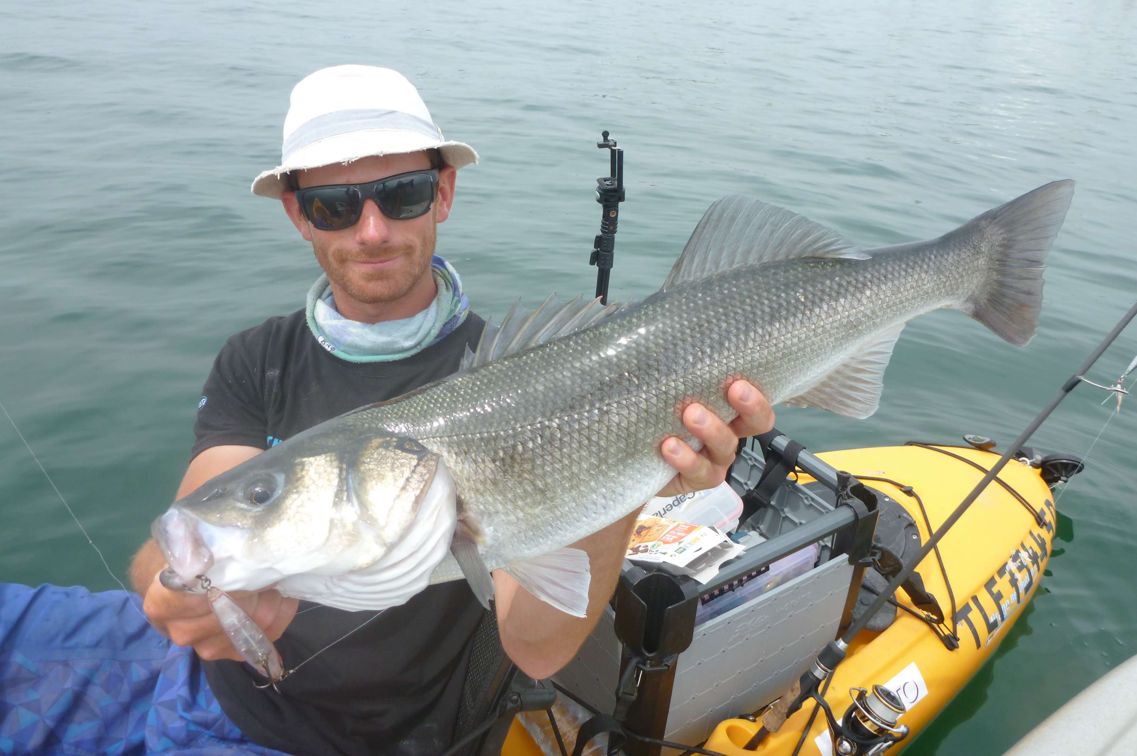 3DR Pencil : le stickbait dernière génération !