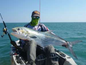 Pêcher la liche au vif : facile !