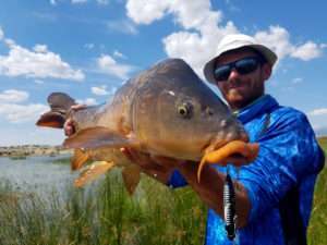 Puppy Heddon : le mini stickbait maxi efficace !