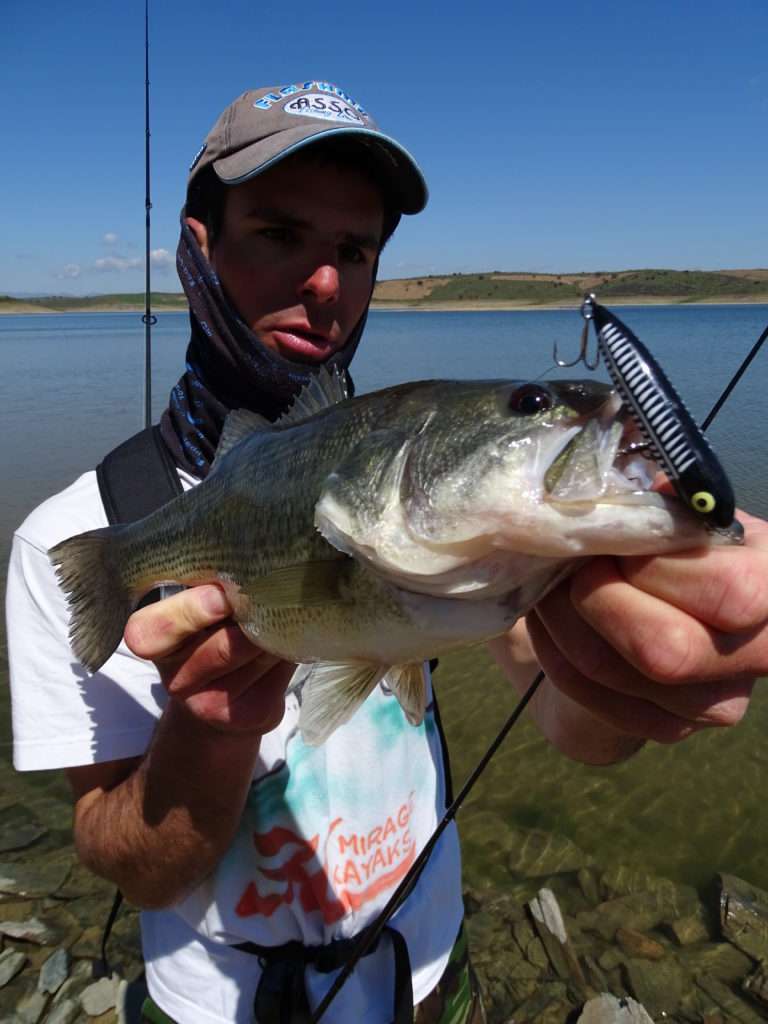 Le Puppy est un des meilleurs stickbaits existants pour le bass