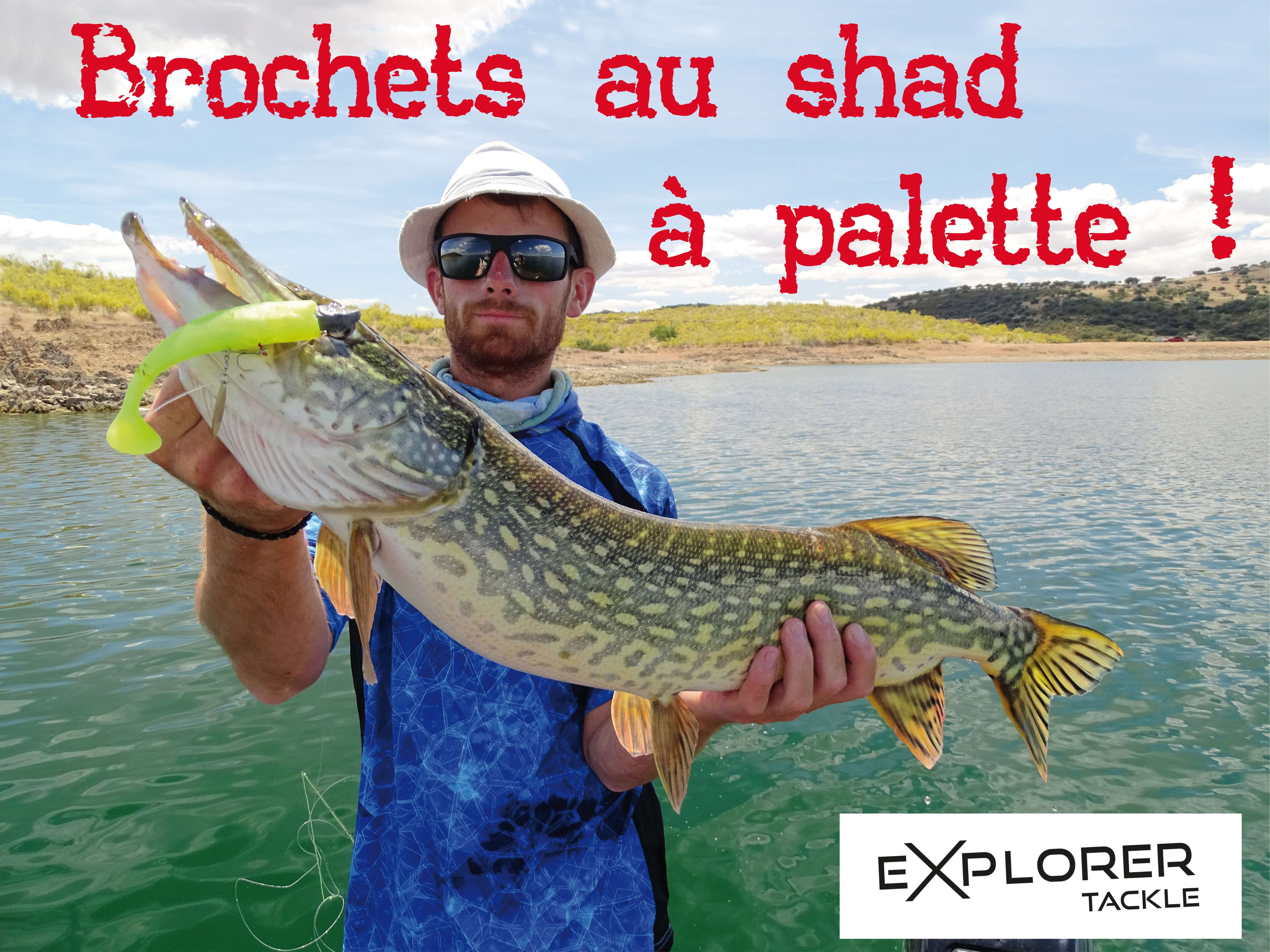 Brochets au shad à palette !
