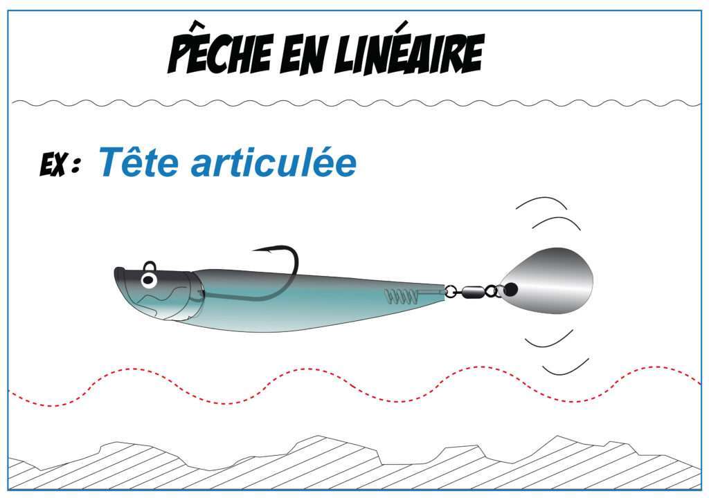 Pêche en linéaire avec un Mega Shad doté d’un système Quick Colorado en queue