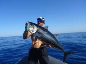 Thons rouges au lancer