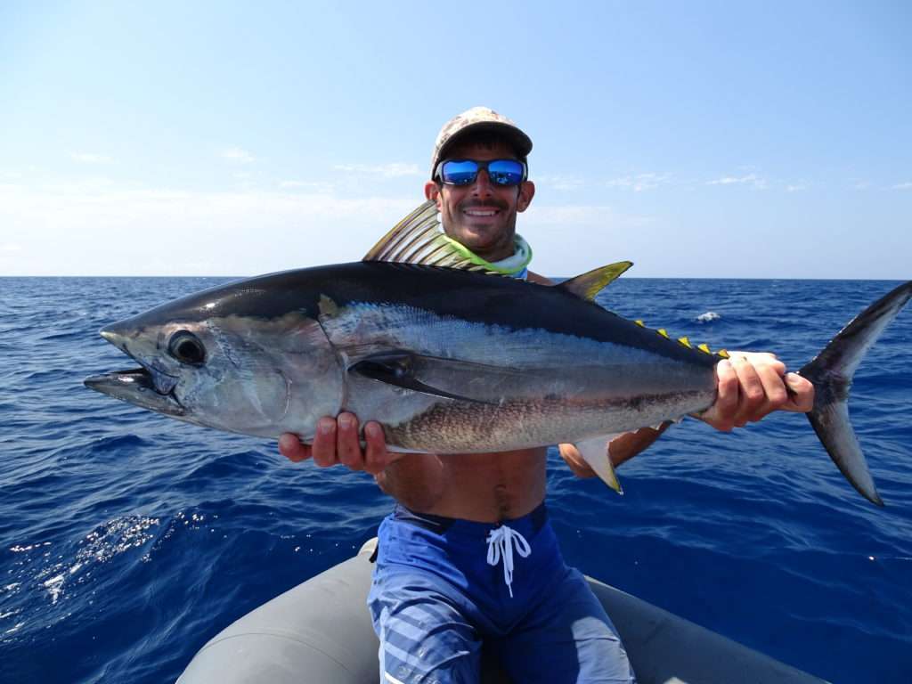 Thon rouge qui sera aussitôt remis à l’eau