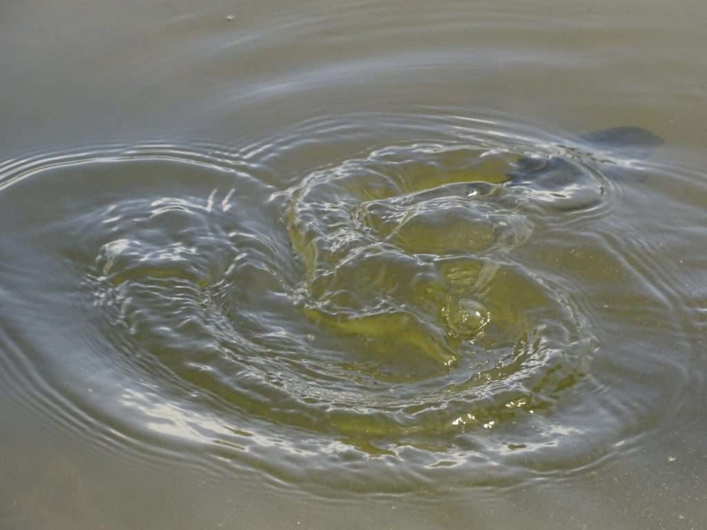 …qui repart en pleine forme ! 