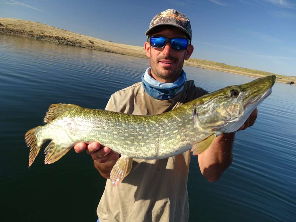 Beau brochet pour Etienne ! 