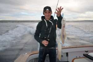 Turluttes Ultra Bait : un must pour le tataki !