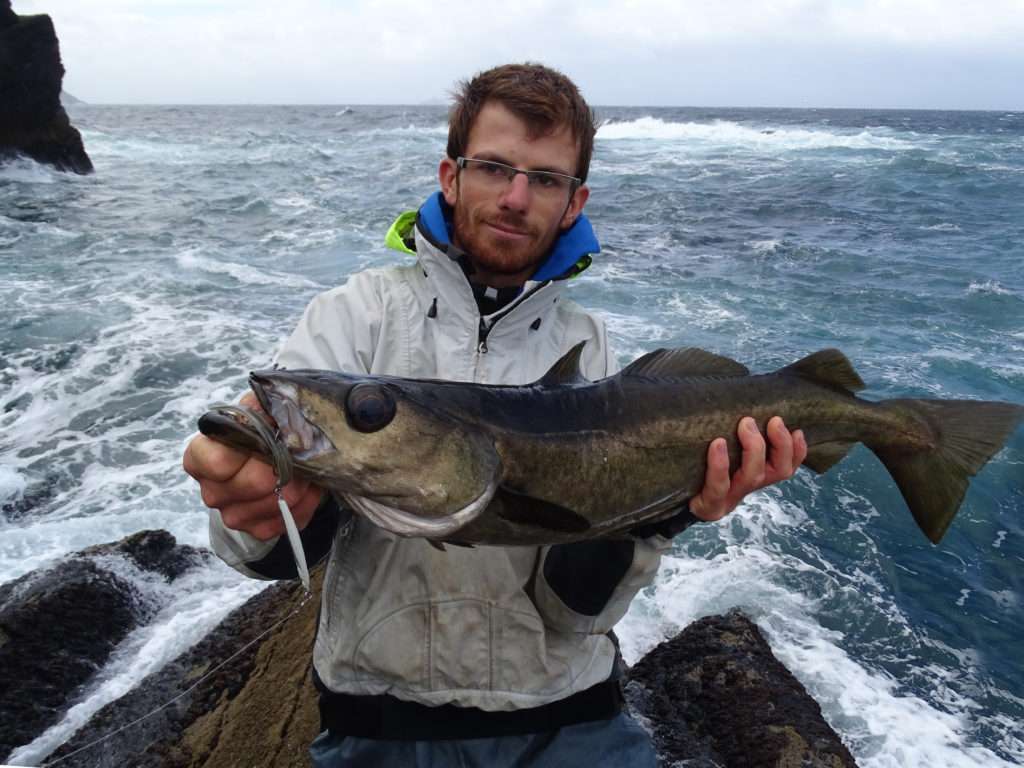Encore un beau lieu pris avec un combo cuiller anchois / Slug pour Colin