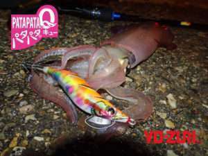 Pata Pata Q Yo-Zuri : l&rsquo;egi high tech !