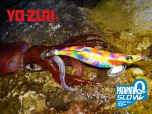 Egi Pata Pata-Q Slow Yo-Zuri : spéciale calamars difficiles !