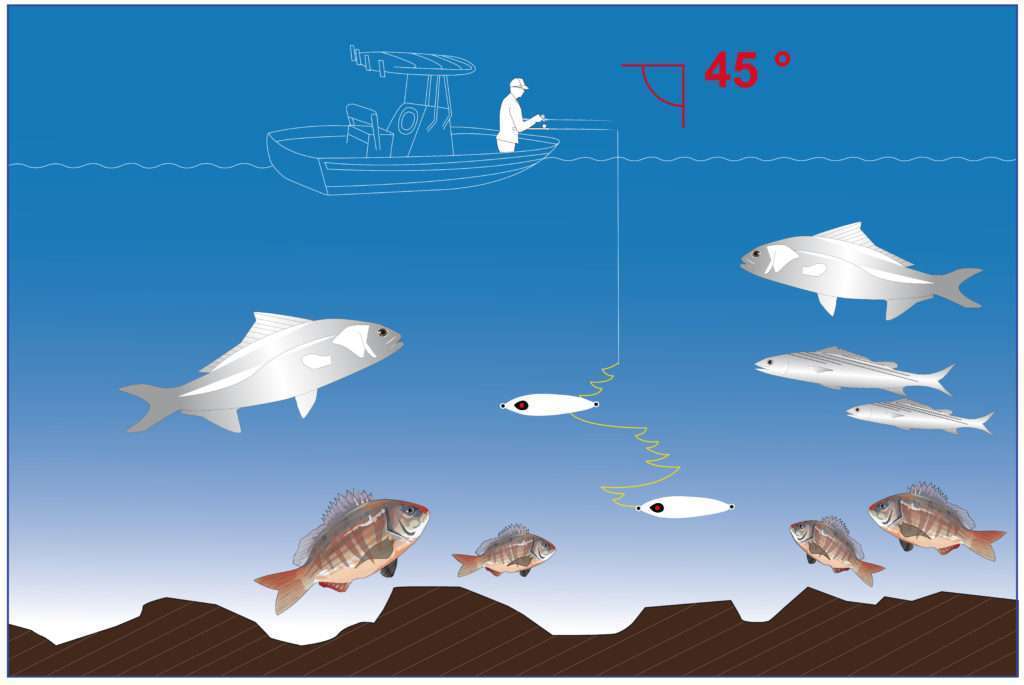 light jigging avec un Meiji armé en tête et en queue