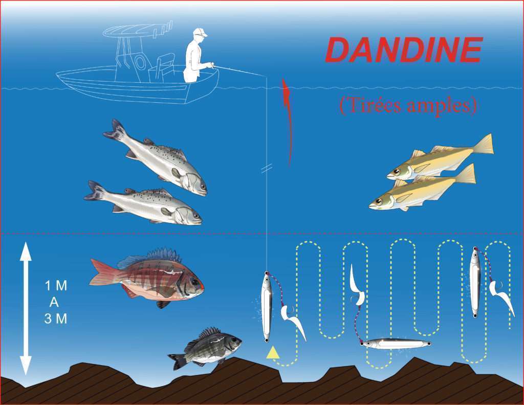 Dandine avec l’ensemble Cuiller Anchois L-Jack / appât Dandine avec l’ensemble Cuiller Anchois L-Jack / appât
