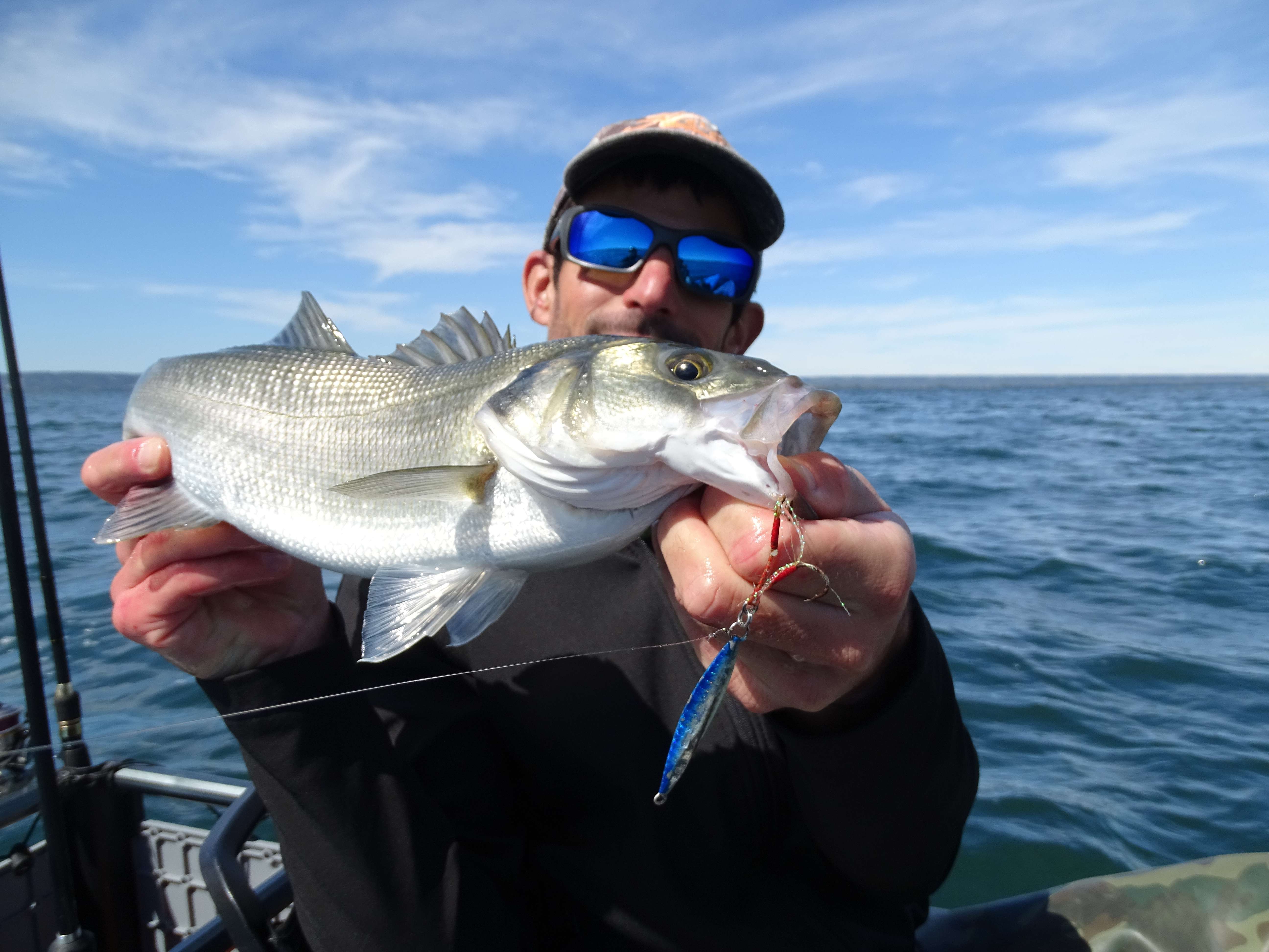 Bars au casting jig Meiji Explorer Tackle