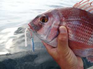 Casting jig et appâts : le combo hyper efficace !