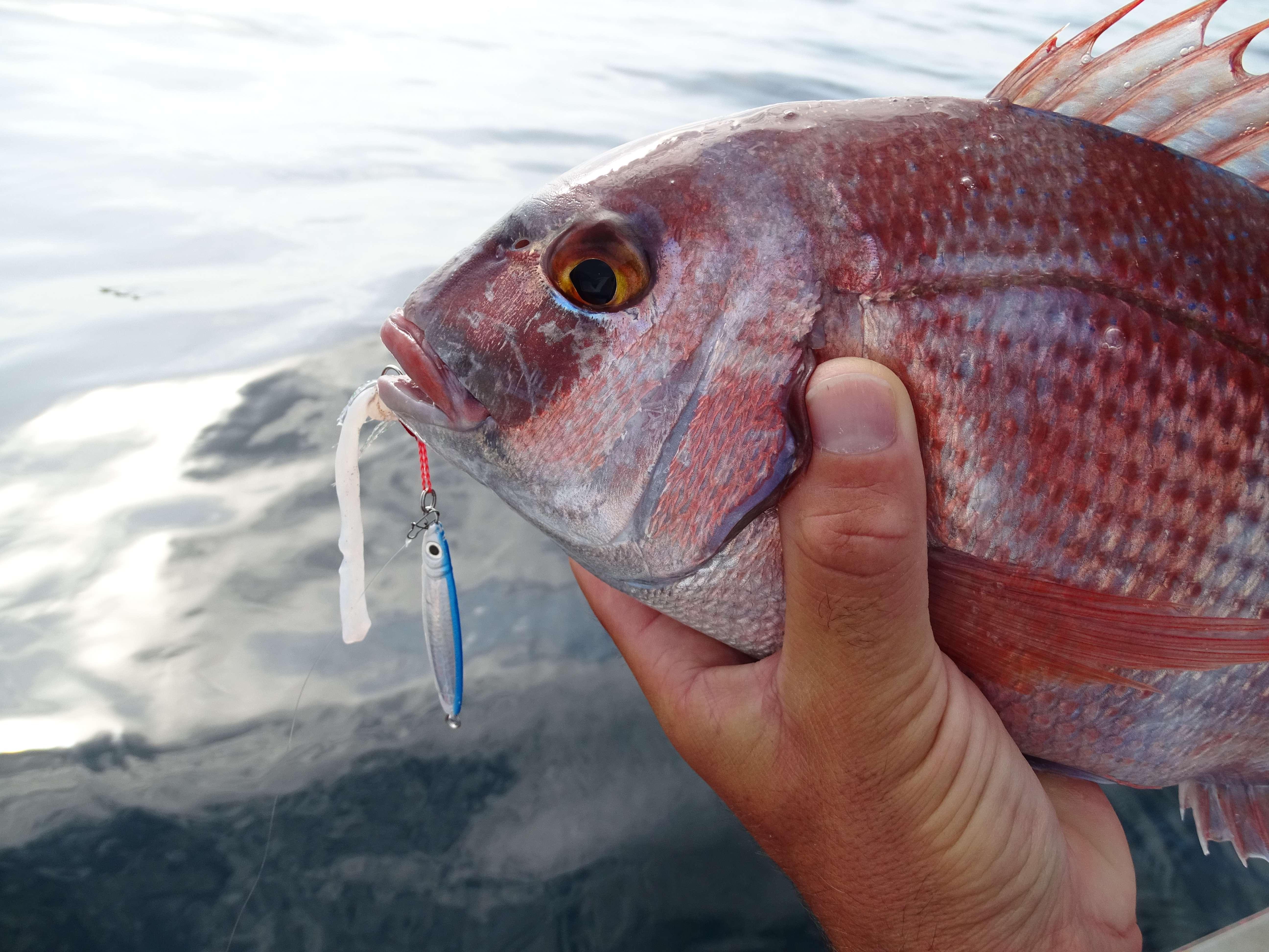 Casting jig et appâts : le combo hyper efficace !