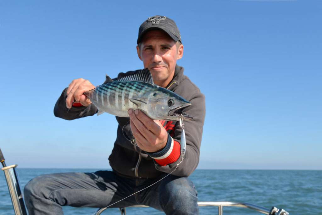 Pélamide prise en traction avec un Métal Spot doté d’un triple à palette